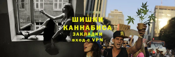 прущие крисы Аркадак