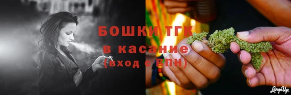спайс Арсеньев