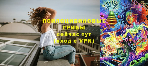 прущие крисы Аркадак