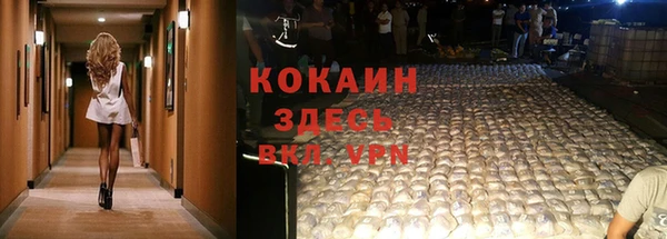 спиды Армянск