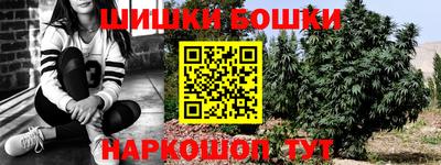 a pvp Будённовск