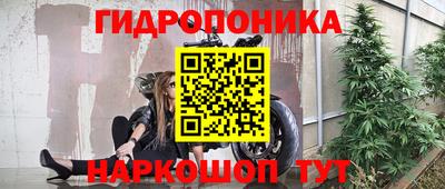 a pvp Будённовск