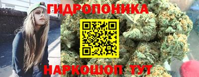 соль ск Ипатово