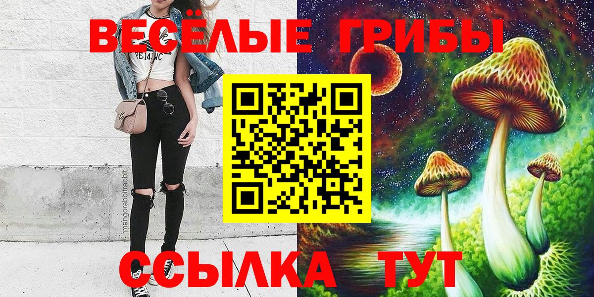Псилоцибиновые грибы Cubensis Глазов
