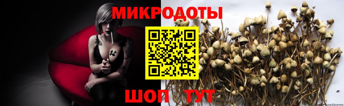 цена наркотик  Галлюциногенные грибы мухоморы  Вход с VPN  Глазов 