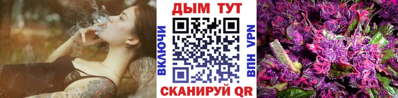 даркнет сайт Глазов Каннабис сатива